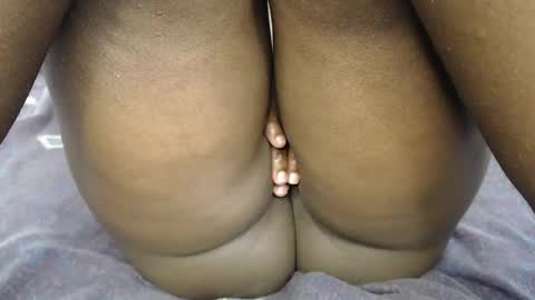 pety online show from February 26, 2026, 6:12 am