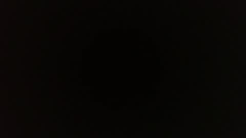 saugeil123 online show from January 16, 2026, 9:41 pm