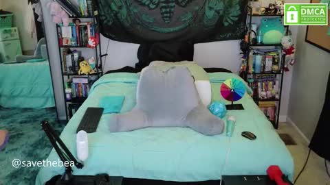 Snapshot of savethebea chatting on November 17, 2025, 6:57 pm Bea online show from November 17, 2025, 6:57 pm