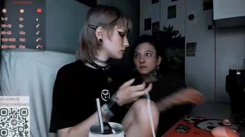 Snapshot of say_mary chatting on September 21, 2025, 12:23 am pronoun she. name Mary. age 21. online show from September 21, 2025, 12:23 am