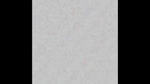 Snapshot of scalertt__steel_ chatting on February 17, 2025, 11:23 am Venus online show from February 17, 2025, 11:23 am