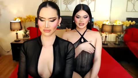 Scarlet online show from February 23, 2026, 7:50 am