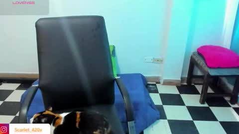 Snapshot of scarlett__cooper__ chatting on March 19, 2026, 8:57 pm Scarlett online show from March 19, 2026, 8:57 pm