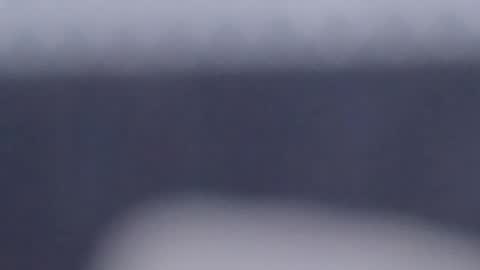 Scarlett online show from February 7, 2025, 4:03 pm