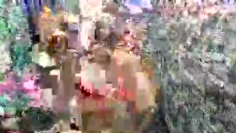 Snapshot of scarlettee_mistress chatting on April 27, 2026, 2:42 am SCAS ANGEL S online show from April 27, 2026, 2:42 am