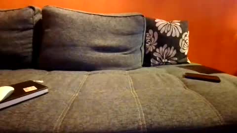 schmuhbaer1 online show from December 14, 2025, 7:58 am