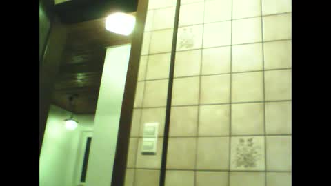 schnibschnab online show from November 30, 2025, 8:46 pm