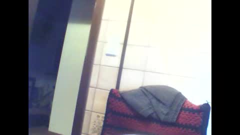 schnibschnab online show from December 23, 2025, 1:36 am