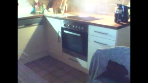 schnibschnab online show from February 25, 2026, 1:48 am