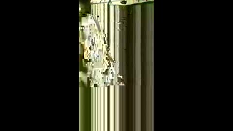 Snapshot of scoutiii chatting on May 1, 2026, 7:57 am scoutiii online show from May 1, 2026, 7:57 am