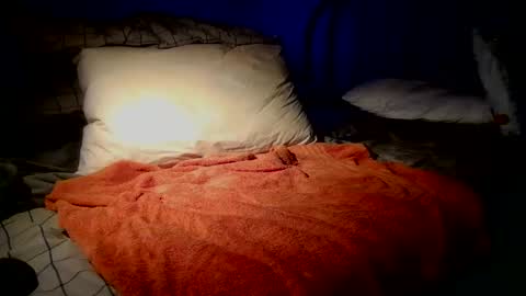 Snapshot of sdseventy chatting on February 22, 2026, 8:13 am ObvHype online show from February 22, 2026, 8:13 am