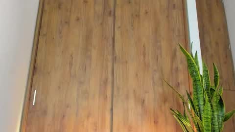 Snapshot of sebas_w01 chatting on February 3, 2026, 1:26 am sebastian online show from February 3, 2026, 1:26 am