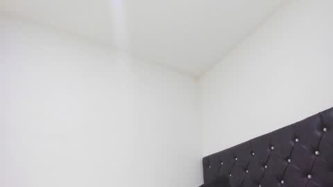 SEBAS  online show from February 26, 2025, 1:21 am