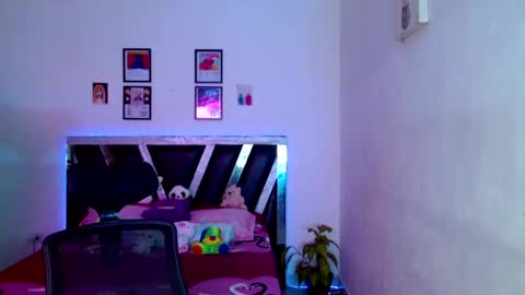 Sebas online show from May 31, 2026, 11:50 am