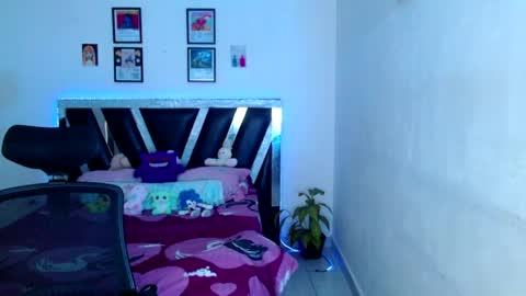 Sebas online show from June 4, 2026, 8:09 am