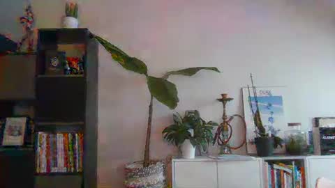 Snapshot of sebix9206 chatting on February 13, 2025, 8:27 am sebix9206 online show from February 13, 2025, 8:27 am