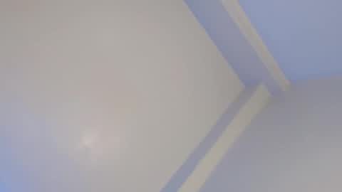 Snapshot of seductivetranslady chatting on February 4, 2025, 2:32 pm NICA online show from February 4, 2025, 2:32 pm