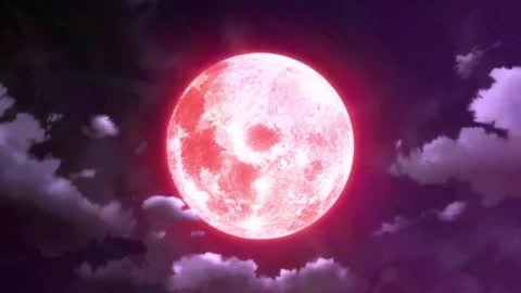 Selene G  online show from March 27, 2026, 2:28 am
