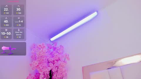 Sennia online show from February 15, 2025, 5:28 pm