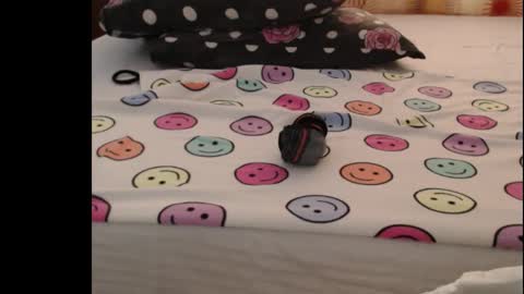 Snapshot of sera_booty chatting on October 25, 2025, 5:04 am Anne online show from October 25, 2025, 5:04 am