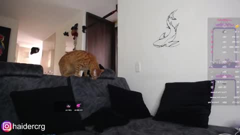 setth online show from February 7, 2026, 6:00 pm