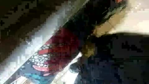 Snapshot of seus1149 chatting on July 23, 2026, 7:06 am seus1149 online show from July 23, 2026, 7:06 am