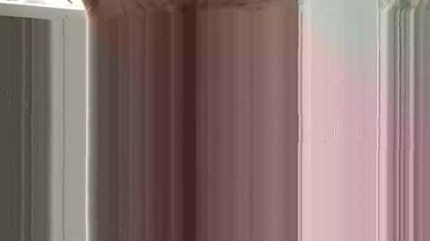 Sexland online show from January 18, 2026, 6:06 am