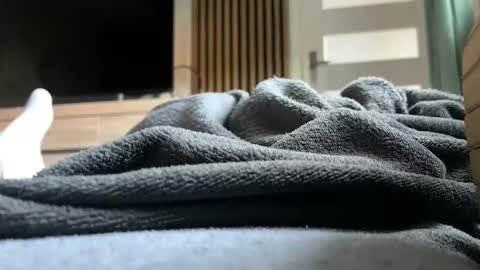 Anna online show from April 26, 2026, 4:37 pm