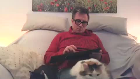 Sexurbation online show from February 24, 2026, 7:56 pm