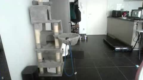 sexy53 online show from February 17, 2026, 10:45 am