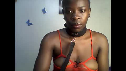 Ann online show from June 11, 2026, 10:57 am