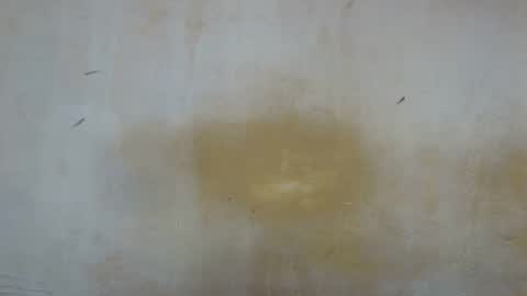 sexy_candy9 online show from November 11, 2025, 9:53 am