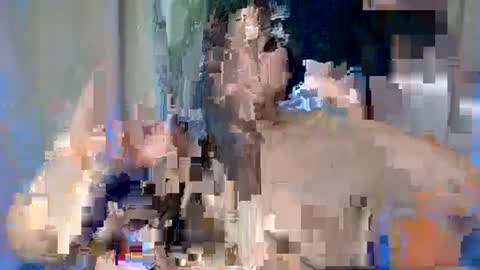 ALFREA online show from February 17, 2025, 7:47 am