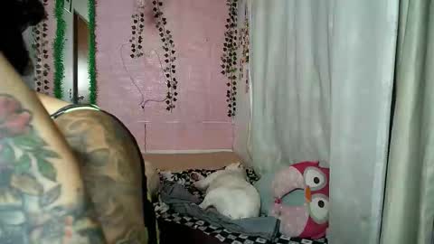 sexy lolas online show from October 8, 2025, 1:36 am