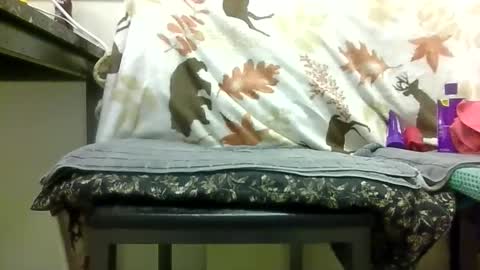 Daddy online show from February 13, 2026, 6:59 pm