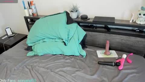 Snapshot of sexyariel15 chatting on October 22, 2025, 4:51 pm SexyAriel15 online show from October 22, 2025, 4:51 pm