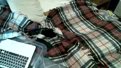 Snapshot of sexybiman74 chatting on January 31, 2026, 10:52 pm sexybiman74 online show from January 31, 2026, 10:52 pm