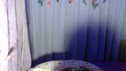 Snapshot of sexykagura chatting on May 22, 2026, 4:56 pm Kagura3 online show from May 22, 2026, 4:56 pm