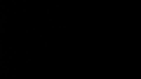 shaidy_scott online show from June 2, 2026, 2:57 am