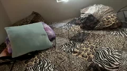 Shaman Woman online show from December 6, 2024, 11:57 pm