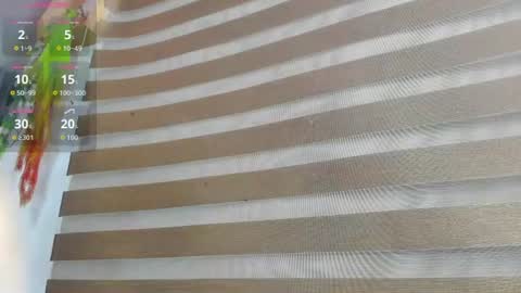 shammy_rosse online show from July 23, 2026, 11:13 pm