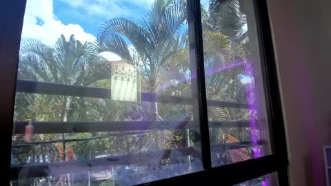 Snapshot of shannakendall chatting on January 31, 2025, 5:32 pm Shana online show from January 31, 2025, 5:32 pm