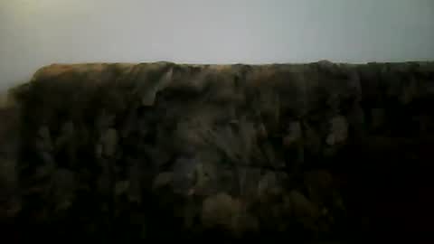 Snapshot of shaomy711 chatting on February 2, 2025, 2:13 pm excelo21 online show from February 2, 2025, 2:13 pm