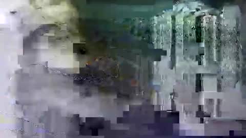 Snapshot of shashee870242 chatting on February 14, 2025, 5:25 pm Shashee870242 online show from February 14, 2025, 5:25 pm