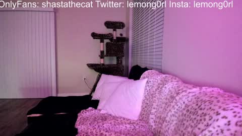 Shasta online show from December 15, 2024, 3:56 am