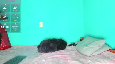 shera hade online show from November 19, 2025, 5:24 pm