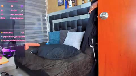sheyla__ebony online show from April 30, 2026, 10:47 pm