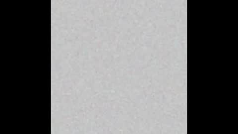 Snapshot of shiningstarrr chatting on December 29, 2024, 12:23 pm Nika online show from December 29, 2024, 12:23 pm