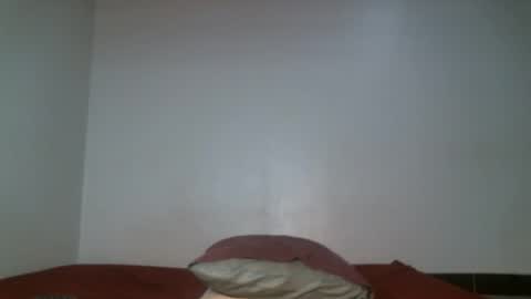 Snapshot of shiro254 chatting on May 11, 2026, 11:49 am Shi-ro online show from May 11, 2026, 11:49 am
