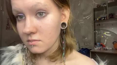 Charlotte online show from July 24, 2026, 7:23 pm